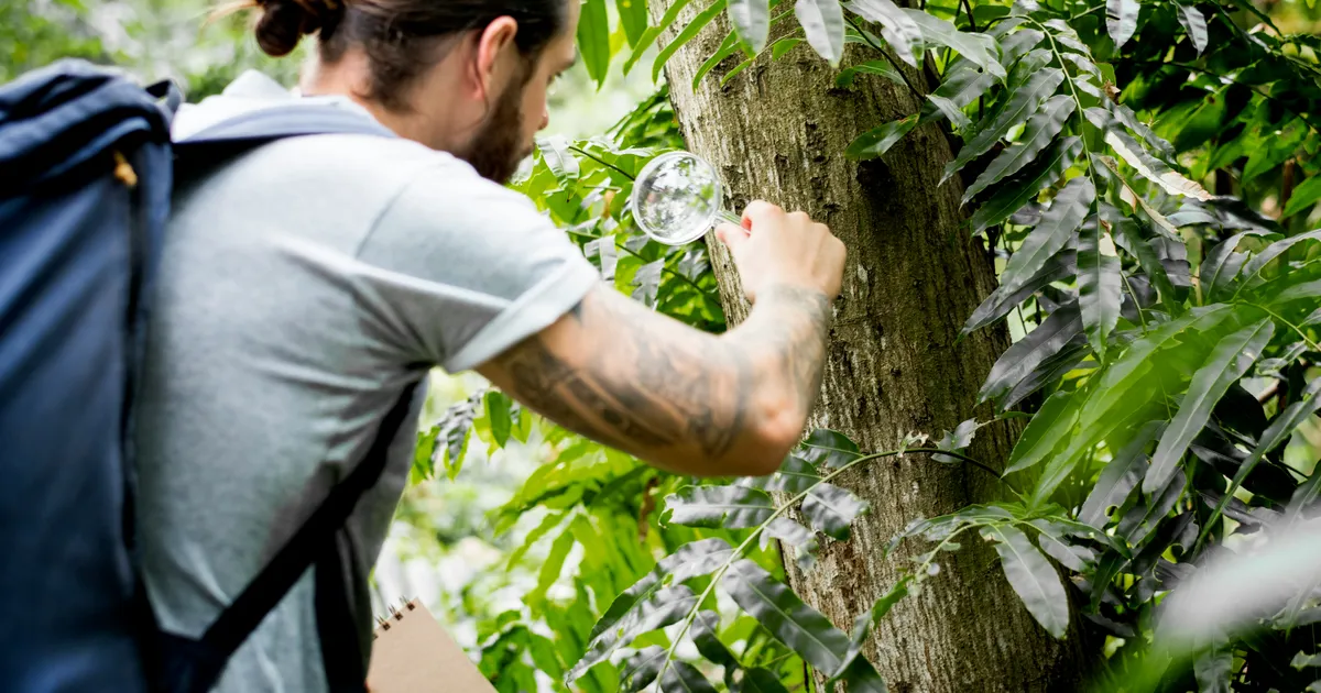 Einzigartigkeit statt Gleichförmigkeit